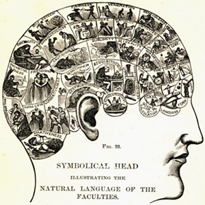 rappresentazione grafica simbolica del cervello  